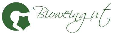 Einseiter Logo